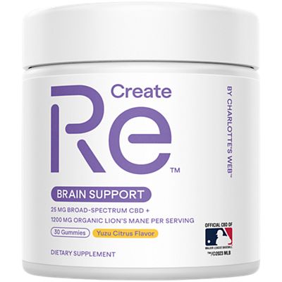 Recreate Brain Support