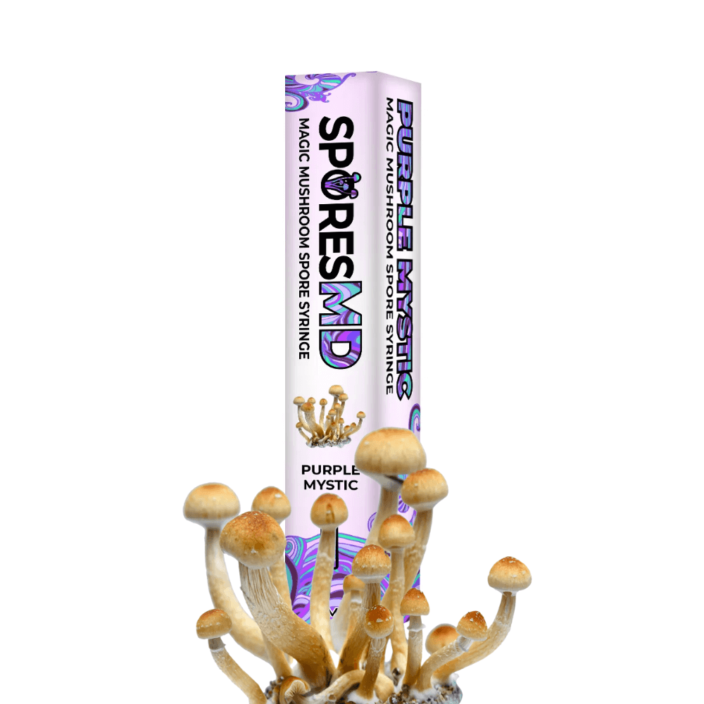 SporesMD Psilocybe Cubensis Spores 10ml