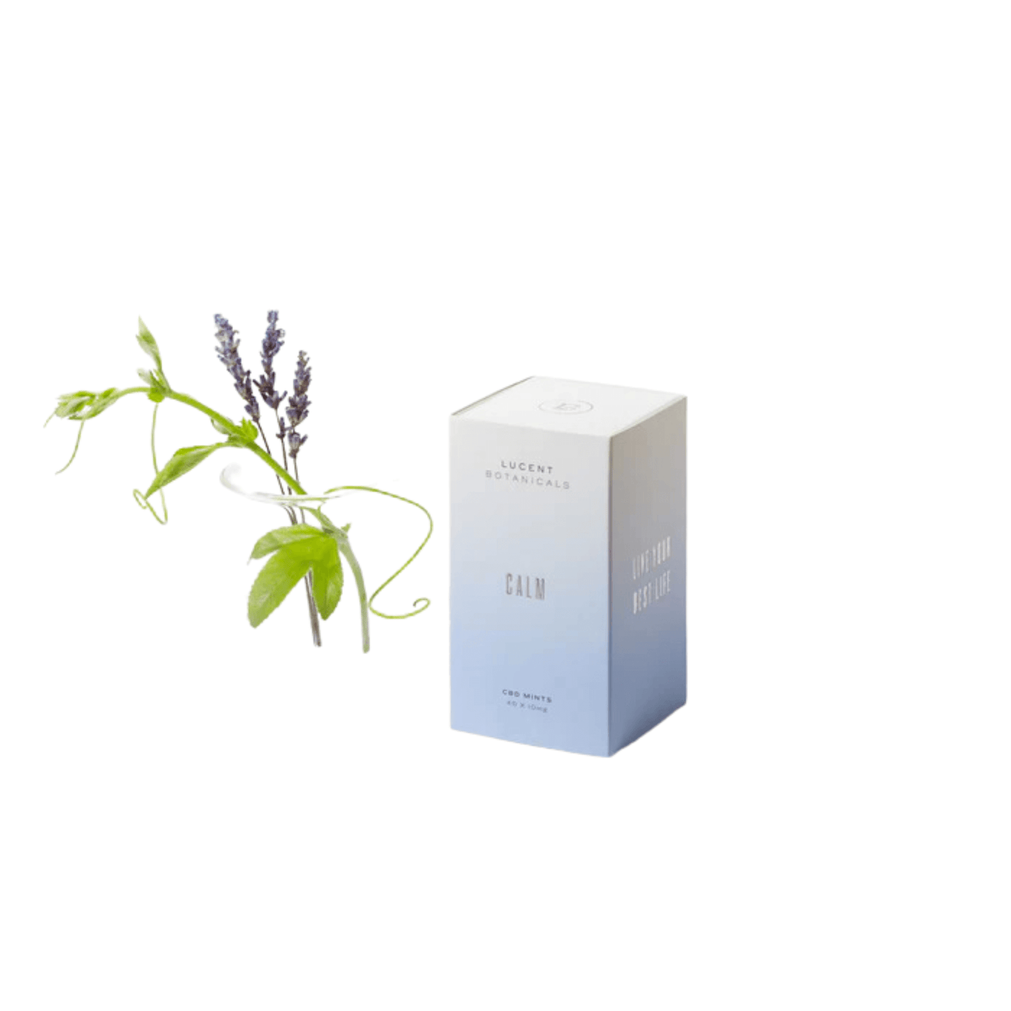 Lucent Botanicals CBD Mints